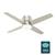 Advocate Low Profile with LED Light 54 Inch Ceiling Fans Hunter Matte Nickel - Matte Nickel 