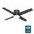 Advocate Low Profile with LED Light 54 Inch Ceiling Fans Hunter Noble Bronze - Noble Bronze 