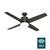 Advocate with LED Light 54 Inch Ceiling Fans Hunter Noble Bronze - Noble Bronze 