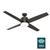 Advocate with LED Light 60 Inch Ceiling Fans Hunter Noble Bronze - Noble Bronze 