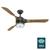 Apache with LED Light 54 inch Ceiling Fans Hunter Noble Bronze - White Washed Oak 