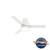 Gilmour Indoor/Outdoor with LED Light 44 inch Ceiling Fans Hunter Matte White - Matte White 