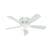 Low Profile with Light 48 inch Ceiling Fans Hunter White 