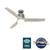 Neuron with LED Light 52 Inch Ceiling Fans Hunter Matte Silver - Brushed Gray Oak 