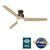 Neuron with LED Light 60 Inch Ceiling Fans Hunter Metallic Chocolate - Brushed Alder 