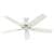 Newsome Outdoor 52 inch Ceiling Fans Hunter Fresh White 