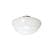 Opal Glass Contemporary Schoolhouse Globe - 22565 - [Product_vendor]