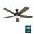Romulus with LED Light 54 Inch Ceiling Fans Hunter Noble Bronze - American Walnut 