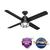 Searow Outdoor with LED Light 54 inch Ceiling Fans Hunter Matte Black - Matte Black 