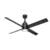Trak Outdoor with light 72 inches 110V Ceiling Fans Hunter Black 