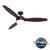 Trillium with LED Light 60 Inch Ceiling Fans Hunter Noble Bronze - Brushed Cocoa 