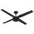Chronicle Outdoor 54 inch Ceiling Fans Hunter Matte Black 